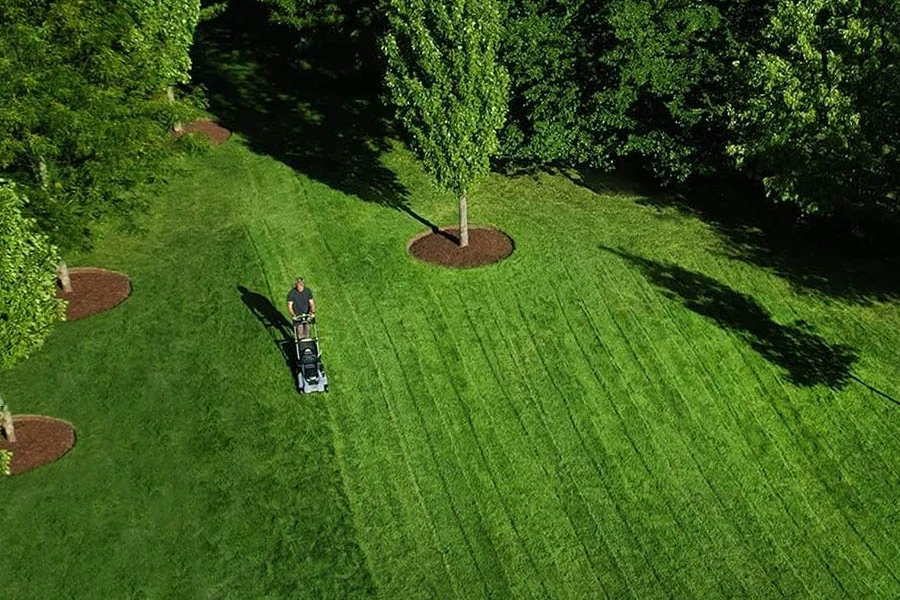Self Propelled Mower