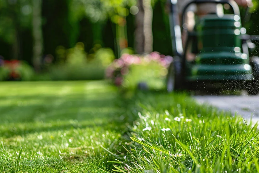 Lawn Mowing Set