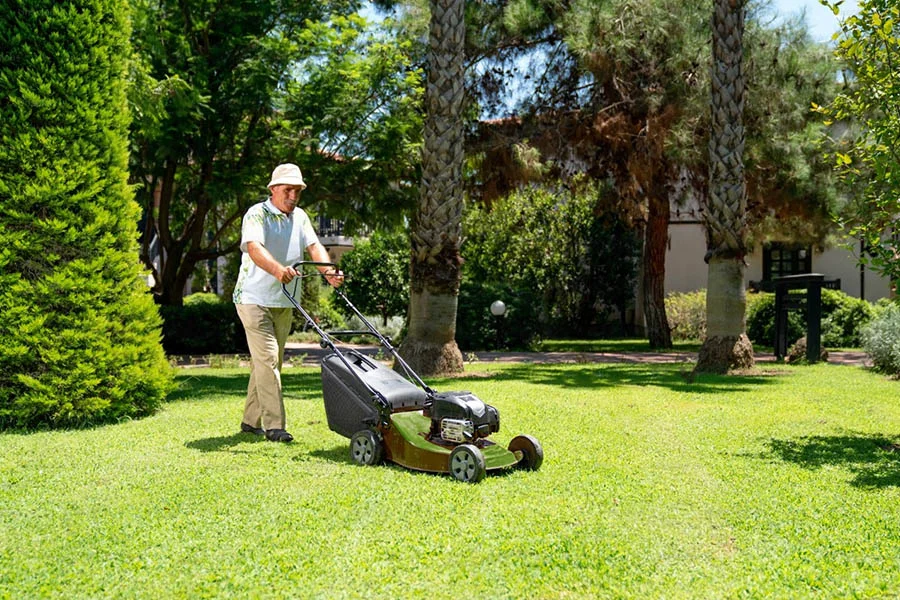 Cordless Black and Decker Lawn Mower
