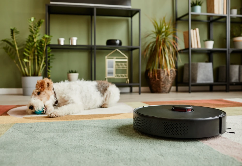 Affordable Robot Vacuum Cleaner