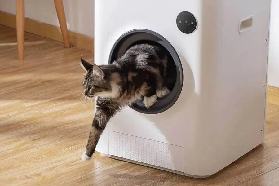 Top Rated Litter Box
